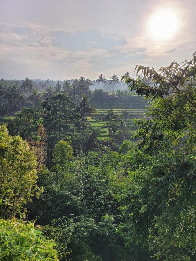 Les Rizieres Lombok - Tetebatu Hotel Ngoại thất bức ảnh