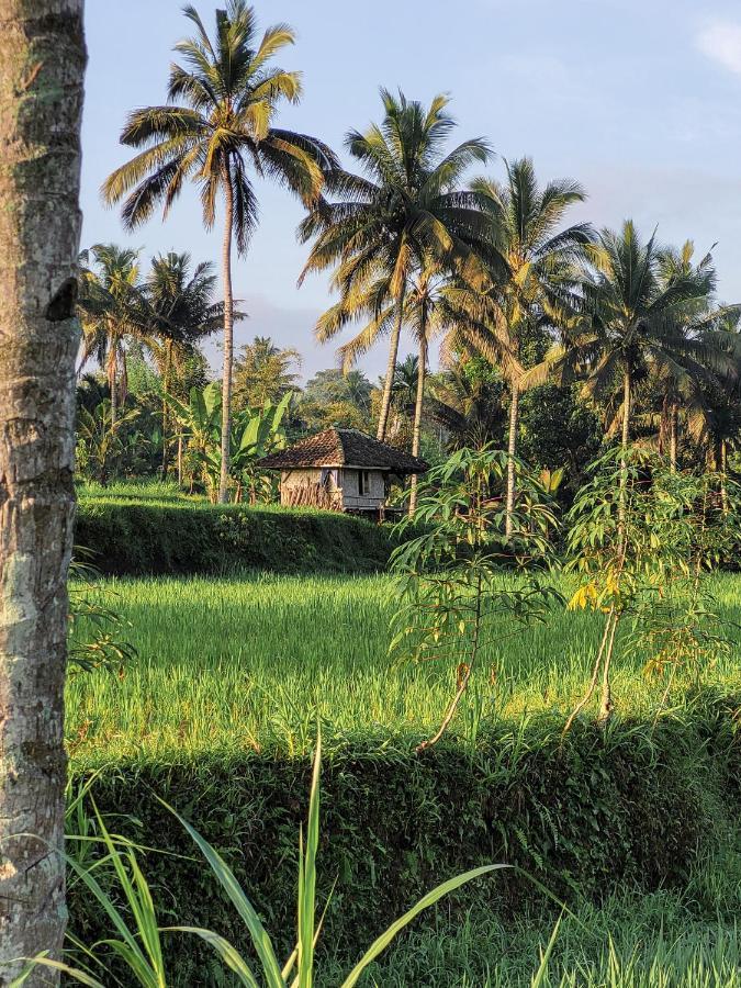 Les Rizieres Lombok - Tetebatu Hotel Ngoại thất bức ảnh