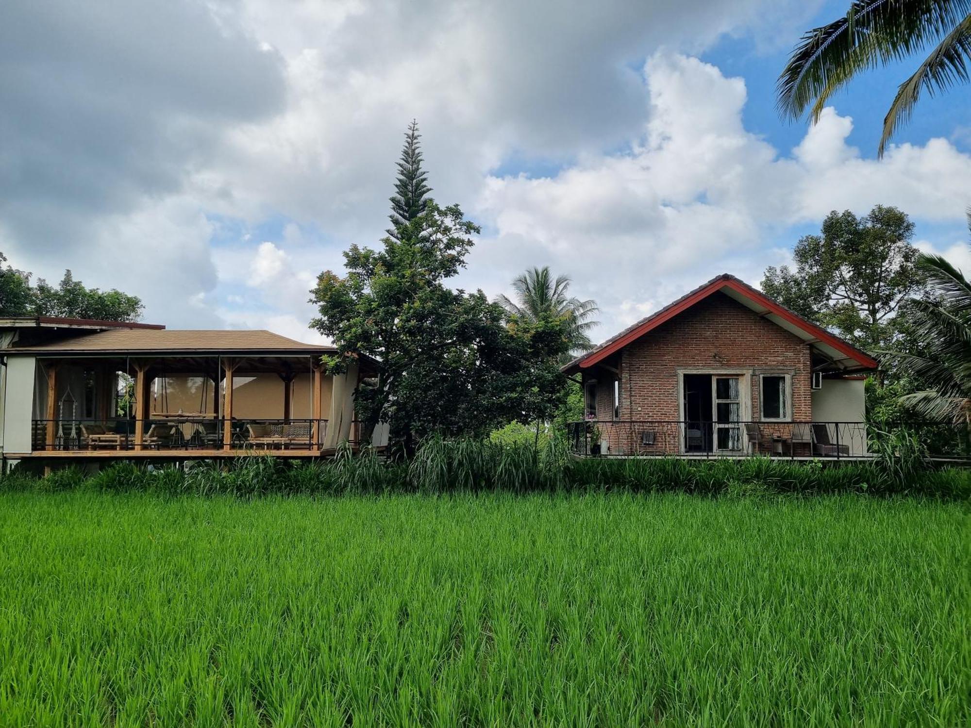 Les Rizieres Lombok - Tetebatu Hotel Ngoại thất bức ảnh