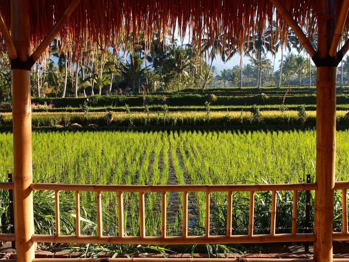 Les Rizieres Lombok - Tetebatu Hotel Ngoại thất bức ảnh